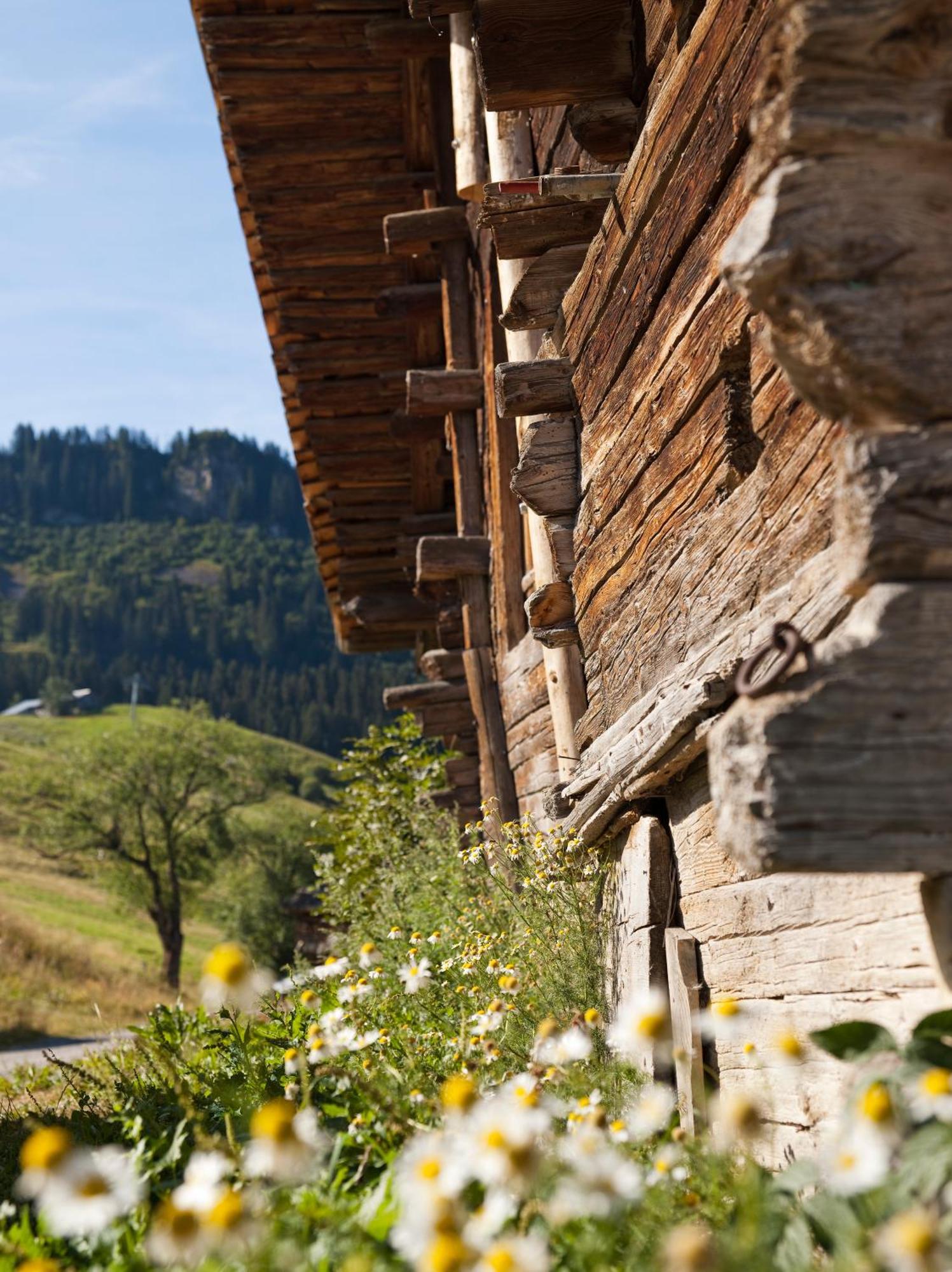 Mgm Hotels & Residences - Residence Le Roc Des Tours Le Grand-Bornand Dış mekan fotoğraf